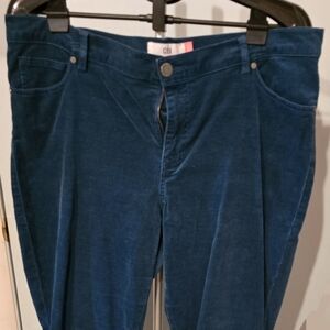 Cabi corduroy